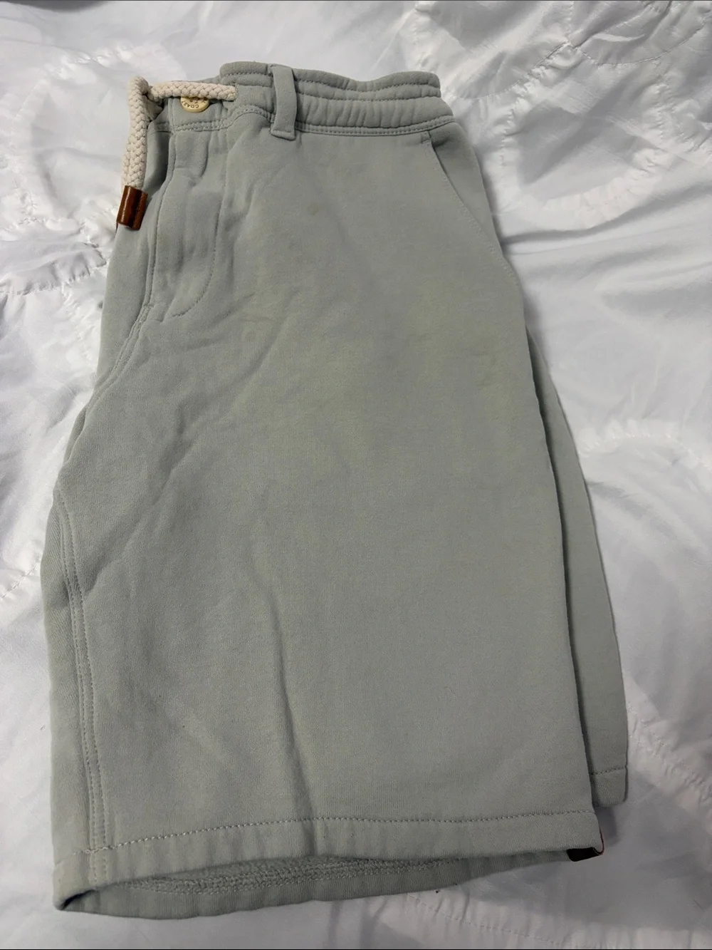 Fundamental Coast Men's Shorts - Sage Green